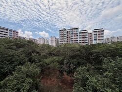 Blk 486 Pasir Ris Drive 4 (Pasir Ris), HDB 5 Rooms #525111291
